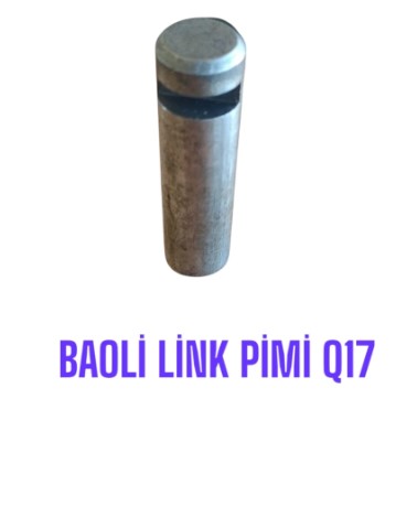BAOLİ LİNK PİMİ Q17